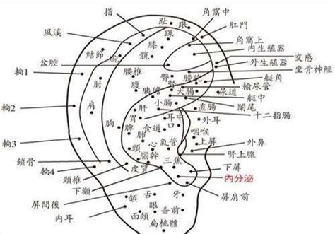 右耳痣|女人右耳朵有痣图解 耳朵痣十大福痣图片